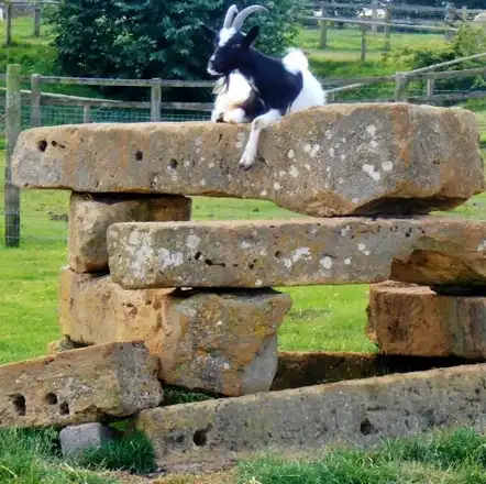 Cotswold Farm Park; location photograph, not a 2026 event photograph