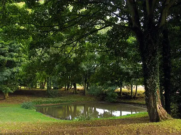 Nearby: Faccombe village pond