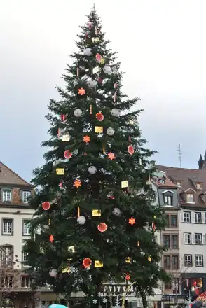 The Grand Sapin in Strasbourg’s Place Kléber, December 2018